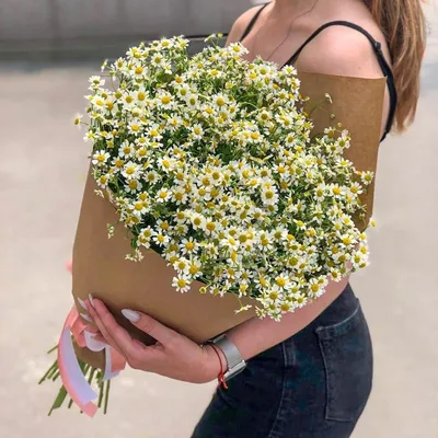 Полевой аккуратный - купить в СПБ с доставкой в Kraft Flowers