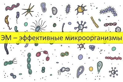 Полезные кишечные бактерии могут легко превращаться во вредные - Hi-News.ru