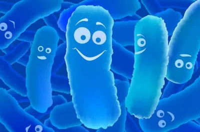 Полезные бактерии - Детский Портал Знаний