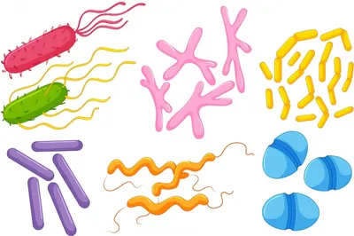 Микробы: полезные и вредные» — создано в Шедевруме