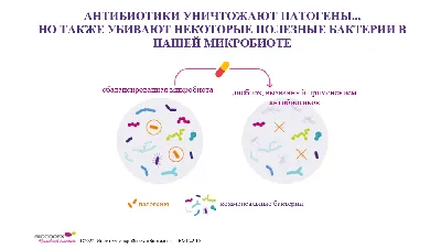 Хорошие Бактерии И Плохие Бактерии — стоковая векторная графика и другие  изображения на тему Микрофлора кишечника - Микрофлора кишечника,  Иллюстрация, Пробиотик - iStock
