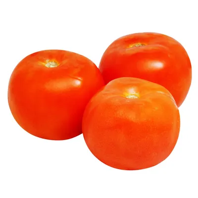 Генетически модифицированный фиолетовый помидор одобрен регулирующими  органами США | Пикабу