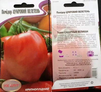 Почему помидоры кислые или горькие на вкус и что делать? Фото — Ботаничка