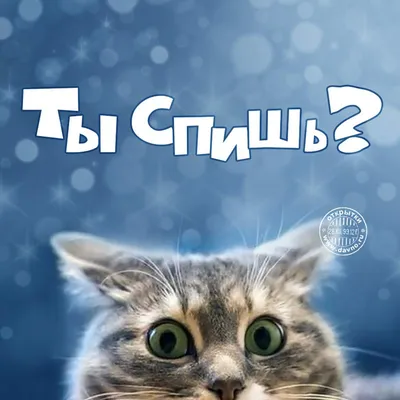 Идеи на тему «Хватит спать» (560) в 2024 г | доброе утро, счастливые  картинки, смешные открытки