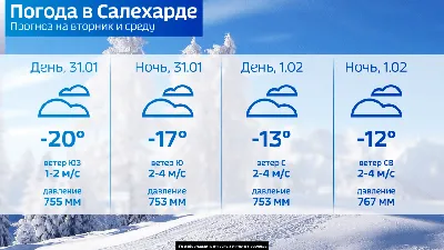 Последний день января в Брянской области будет малоснежным и теплым •  Новозыбков.SU