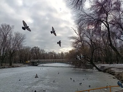 Последний день января