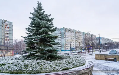 Снова здравствуй, зима. Последний день января глазами «Фонтанки» |  Фонтанка.ру | Дзен