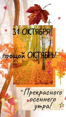 Пин от пользователя Наталья на доске осень | Открытки, Осенние картинки, 31  октября