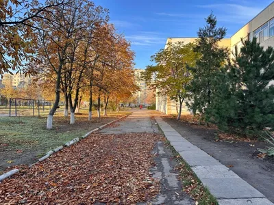 В последний день октября в Белгороде резко похолодает - Новости Белгорода