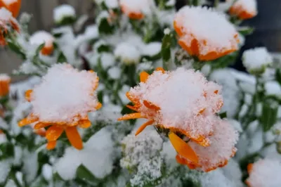 Дождь и снег пройдут в Казахстане в последний день октября