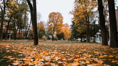От -3 до +16 °C: какая погода будет в последний день октября на Сахалине и  Курилах - Новости Сахалинской области - astv.ru