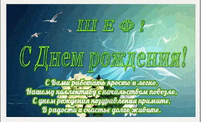 Готовая композиция из шаров \"С Днем Рождения, шеф\" – купить в Москве