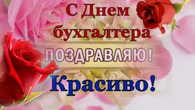 Весёлый текст для главного бухгалтера в день рождения - С любовью,  Mine-Chips.ru