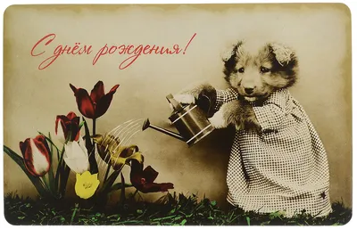 Ретро открытка с днем рождения Владимира Зарубина — Скачайте на Davno.ru