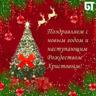 Поздравляем с наступающим католическим Рождеством Христовым! | Новости и  события | РСУП Олекшицы — производитель молочной и мясной продукции в  Беларуси (Гродненская область)