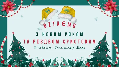 Поздравления с наступающим Новым 2024 годом и Рождеством Христовым! |  Ветеринарная клиника в Саранске