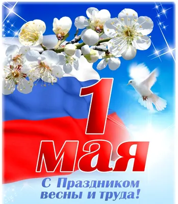 Сегодня я поздравляю ВСЕХ! и желаю ВСЕМ РАВНЫХ ПРАВ! · «7x7» Горизонтальная  Россия