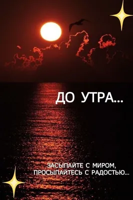 Красивое пожелание добрый вечер доброй ночи, 50 вариантов, в стихах,  картинках, открытках, гифках. Прикольные пожелания до… | Ночь, Смешные  открытки, Спокойной ночи