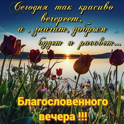 Хорошего вечера😊 | Открытки Тедди | ВКонтакте