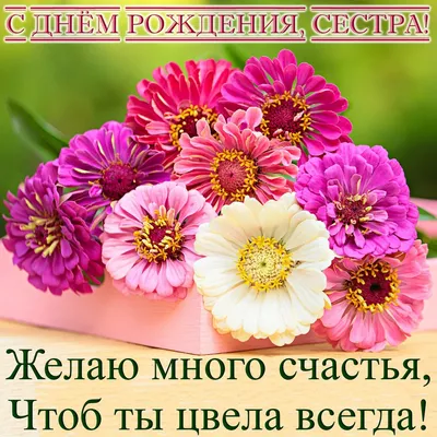 С Днем Рождения сестренка ! 🌺 Красивое поздравление сестре | Поздравления  от души | Дзен