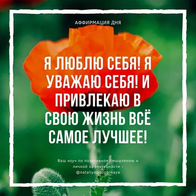 Счастье, как образ жизни on Instagram: “Аффирмация дня 💓 Наш позитивный  настрой формирует нашу жиз… | Вдохновляющие цитаты, Позитивные цитаты,  Мотивационные цитаты