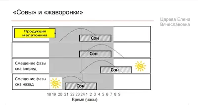 О чем говорит поза для сна, позы сна и их значение - Экспресс газета