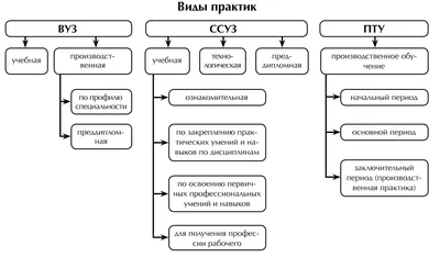 Производственная практика студентов INAI.kg специализаций «Программные  технологии» и «Медицинская информатика» | INAI.KG