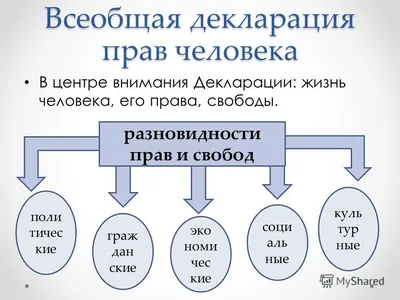 Нарисуй свои права: Всеобщей декларации прав человека 70 лет
