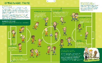 Мини-футбол - разновидность спорта ФИФА | Новости GoProtect.ru