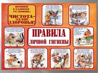 Основные правила личной гигиены