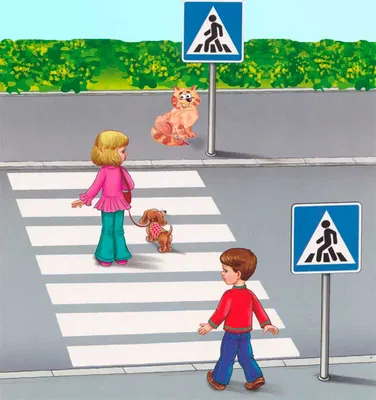 Правила дорожного движения для детей в картинках / Новости / Официальный  сайт администрации Городского округа Шатура