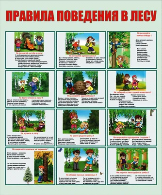 Администрация Никольского городского поселения Тосненского района  Ленинградской области | Правила поведения детей в лесу