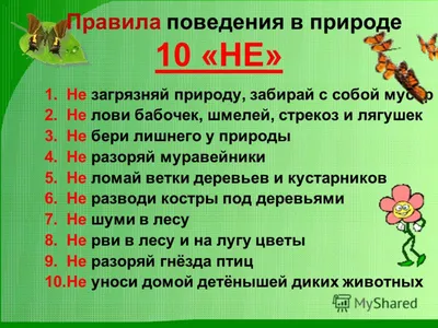 Рисунок Правила поведения в природе №356905 - «Стенгазеты и Плакаты»  (03.12.2022 - 14:24)