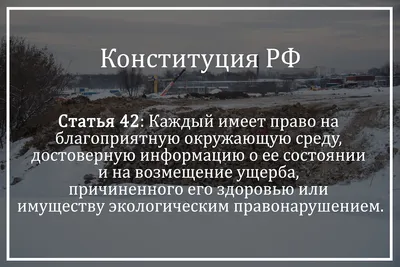 Концептосфера \"Право - закон - преступление - наказание - милосердие\" в  русской языковой картине мира | Президентская библиотека имени Б.Н. Ельцина