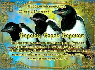 Равноденствие, сороки и жаворонки! - tavika.ru