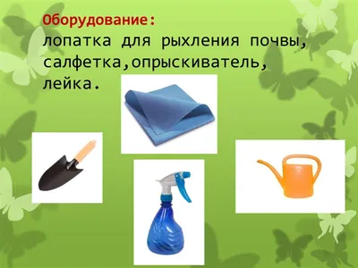 Набор по уходу за комнатными растениями, комнатный цветок уход, грабли,  садовый инструмент, посадка цветы, комнатные растения | AliExpress