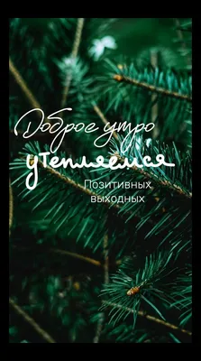 Акция “Новогоднее настроение” – МАДОУ \"ДС № 32 г.Благовещенска\"