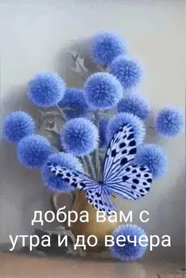 Всем желаем прекрасного субботнего дня🌱 Ждём вас у нас в студии🌹😊 |  Instagram