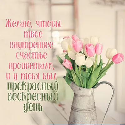 Чудесного вечера, хорошего отдыха, прекрасного настроения. ... |  ПРИВЕТСТВИЯ и ПОЖЕЛАНИЯ, открытки на каждый день. | Фотострана | Пост  №2577432614