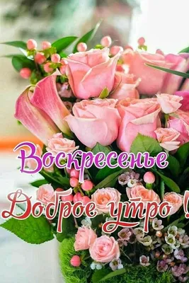 ВОСКРЕСЕНЬЕ! 💖🌸🦋💐🌺🌿🦋🌸 ПРЕКРАСНОГО ДНЯ! 💖 | Открытки, Зимние  картинки, Красивые цветы