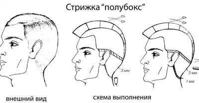 Высокие прически на средние волосы своими руками: пошаговое фото -  Рамблер/новости