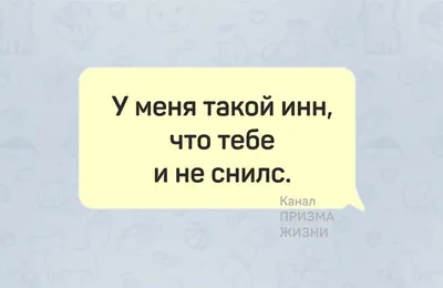 Если не хочешь пропустить хорошее настроение, подпишись на  @KARL_PERESMESHNIK и хэштег #KARL_PERESMESHNIK😉 . #karlжжот #добрыйдень # прикол … | Instagram