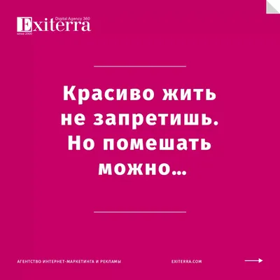 Жванецкий — цитаты о жизни, женщинах, отношениях, про умных — мудрые смешные  афоризмы и мемы в картинках