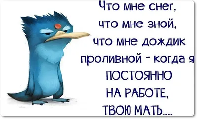 Иллюстрации к настенным часам “Тик Таки”. Всего было нарисовано 4 вида  иллюстраций. За основу были взяты популярные фразы, цитаты про… | Instagram