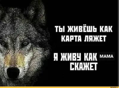 Я ненавижу свою работу. Интересные постеры о зубной щетке и юмористические  цитаты, напечатанные на холсте, настенные картины – лучшие товары в  онлайн-магазине Джум Гик