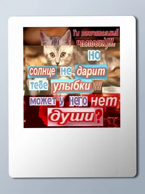 Воскресенье - время заряжаться позитивом! | Приколы из одноклассников | Дзен