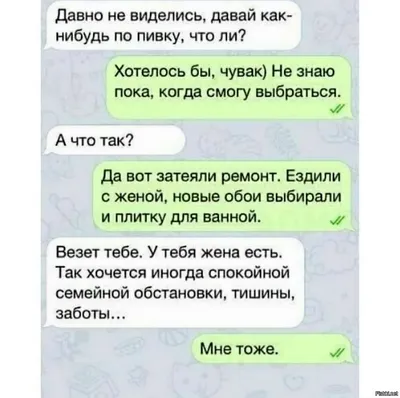 СМС-ки нас заставляют улыбнуться и засомневаться... Глупые, смешные и  весёлые смс | ЗАГОРОДНАЯ ЖИЗНЬ ВПРИПРЫЖКУ | Дзен