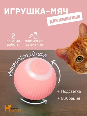 Дразнилка для кошек Сибирская кошка шарик с перьями и погремушкой, в  ассортименте, 45 см - отзывы покупателей на маркетплейсе Мегамаркет |  Артикул товара:100025629687