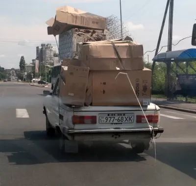 доставка / смешные картинки и другие приколы: комиксы, гиф анимация, видео,  лучший интеллектуальный юмор.