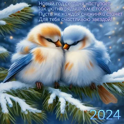 Новогодние приколы от Ксения Акимова за 28 декабря 2018 на Fishki.net